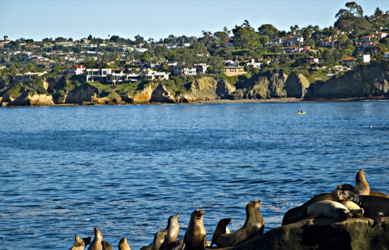 San Diego skyline — Indian classes in San Diego